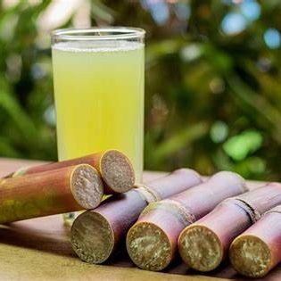 Guarapo Sugar Cane Juice | Cuba Salsa Tour